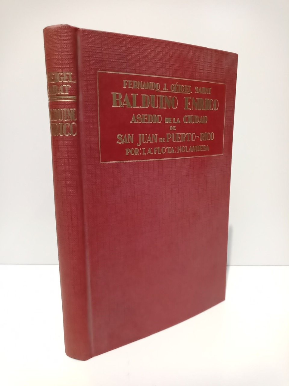 Balduino Enrico: Estudio sobre el general Balduino Enrico y el …