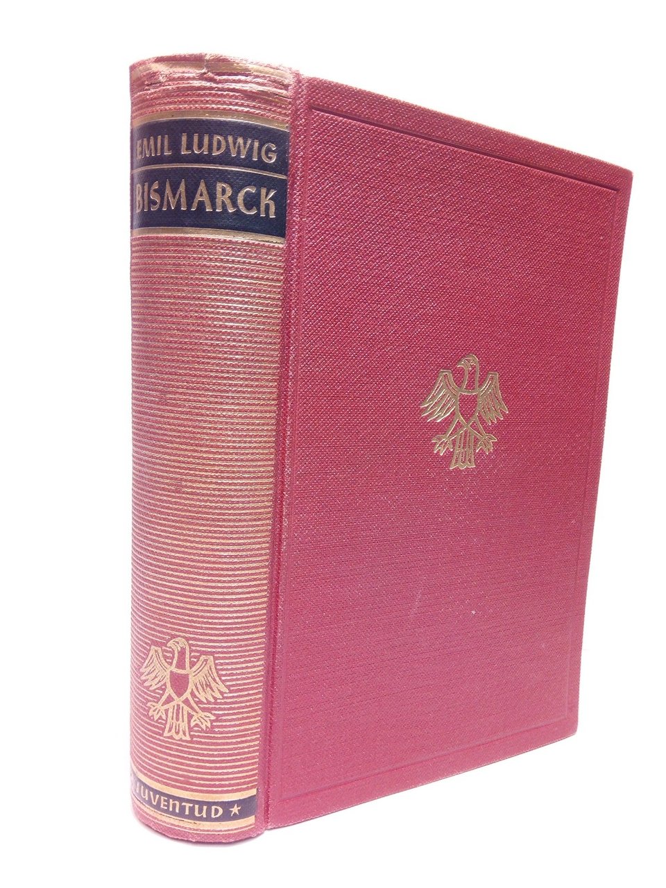 Bismarck. Historia de un luchador