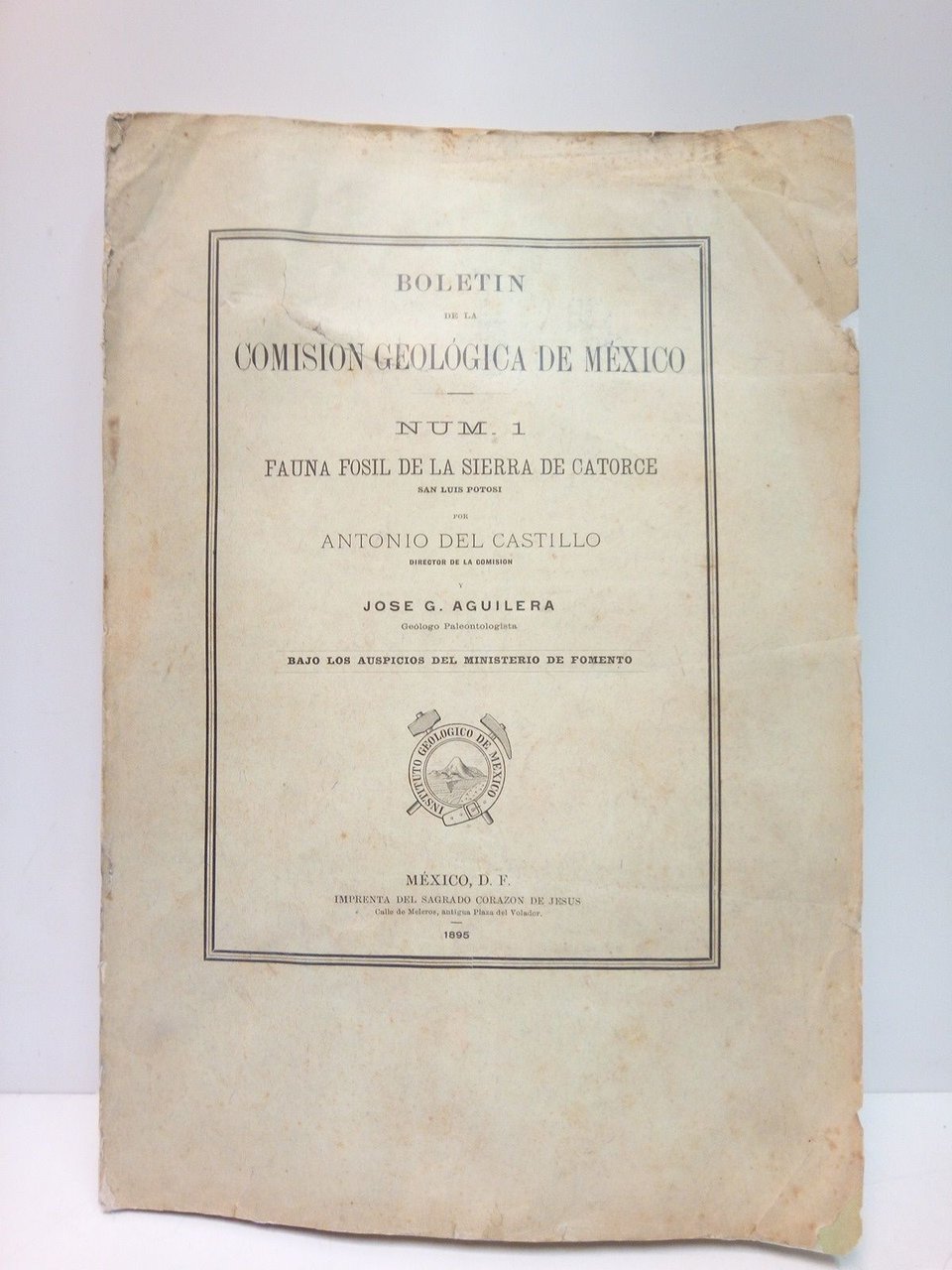 Boletín de la Comisión Geológica de México. Num. 1: Fauna …