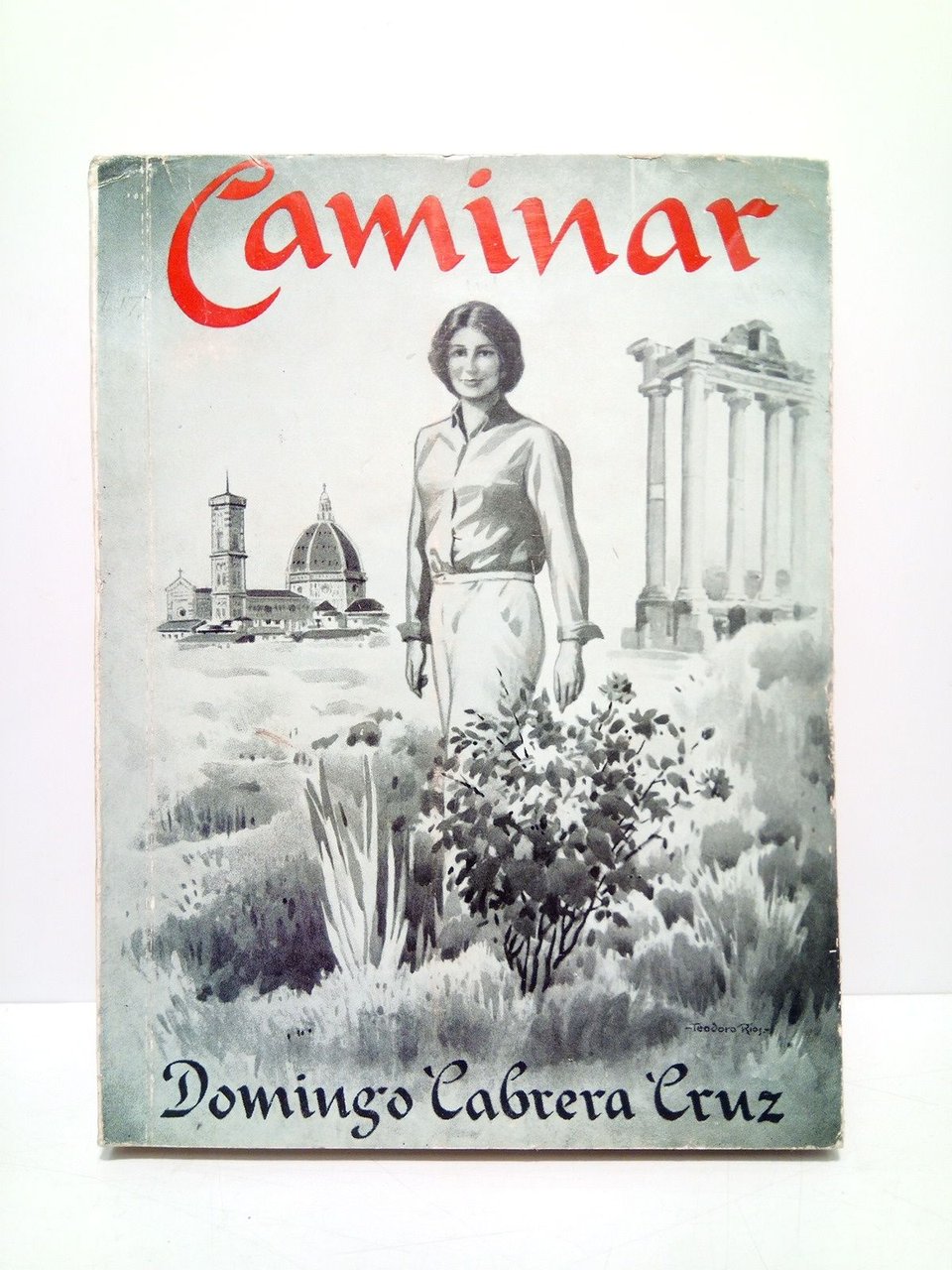Caminar: Impresiones de viajes por pueblos de Europa
