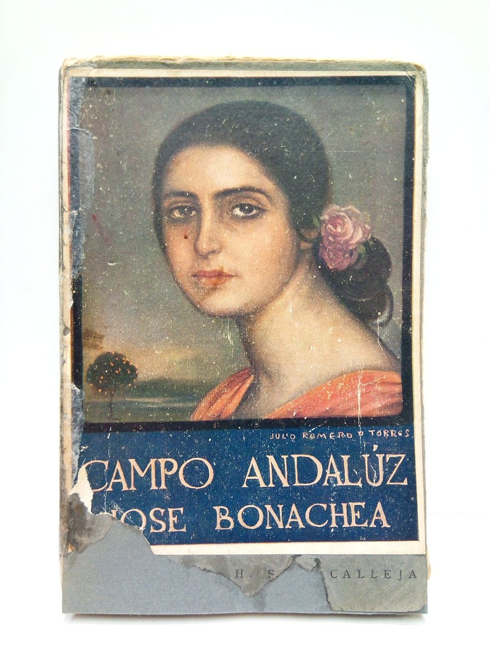 Campo andalúz (Novela)