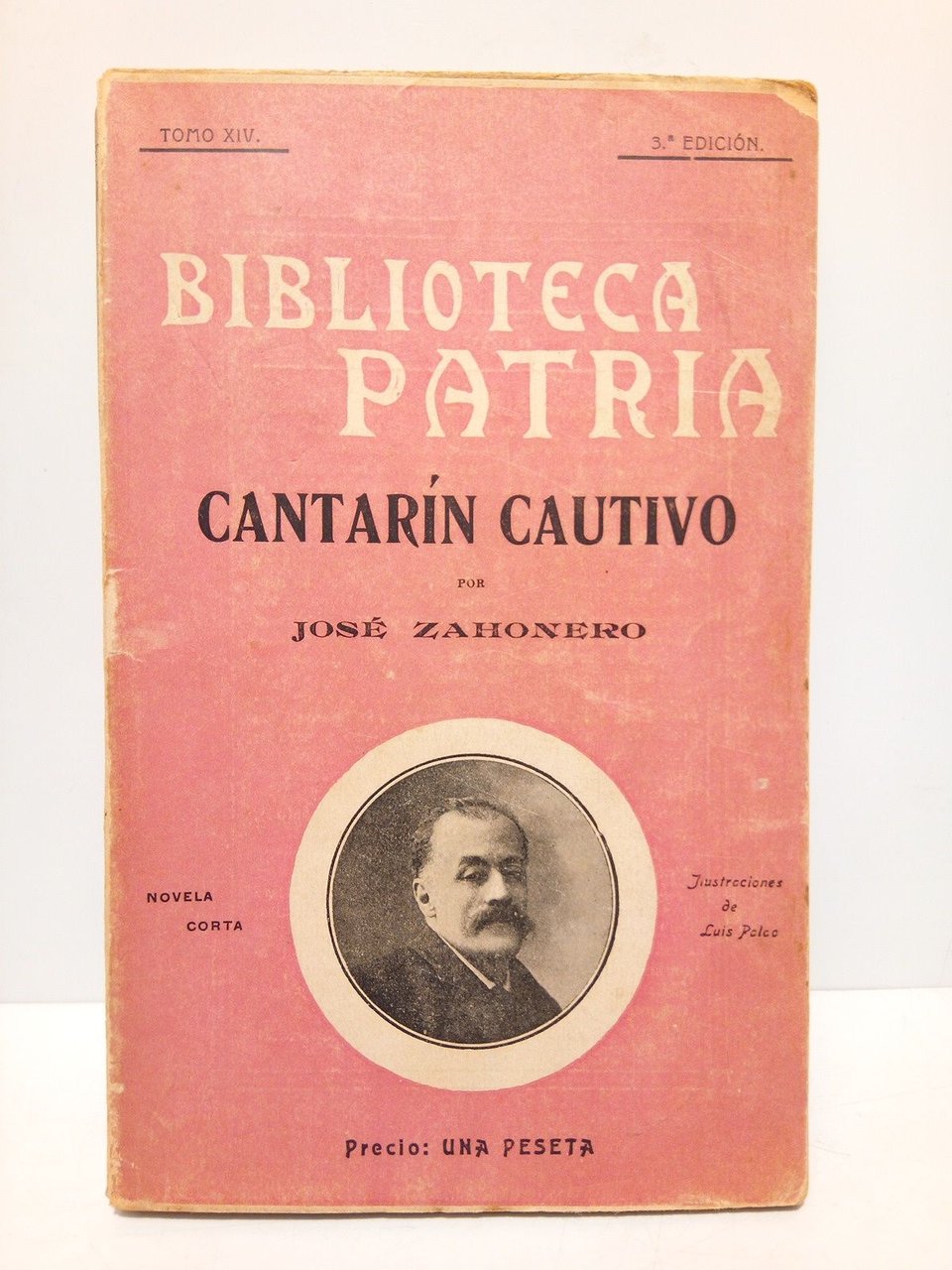 Cantarín cautivo (novela) / Ilustraciones de Luis Palao