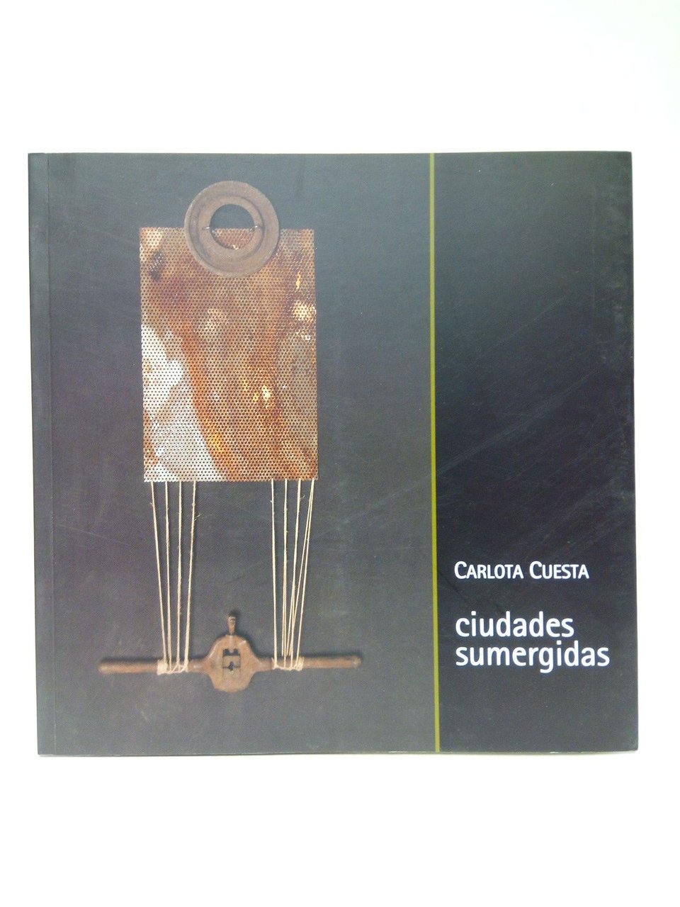 Carlota Cuesta: Ciudades sumergidas. (Catálogo de la Exposición en el …