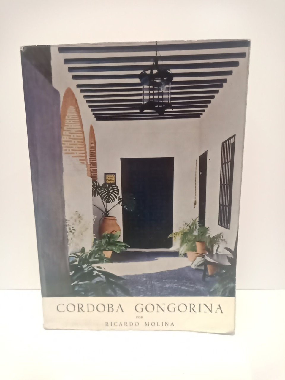 Córdoba gongorina. Conmemoración del IV Centenario del nacimiento de Don …