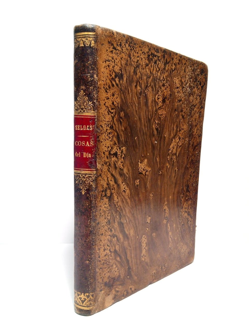 Cosas del Día, continuación de las Delicias del Nuevo Paraíso