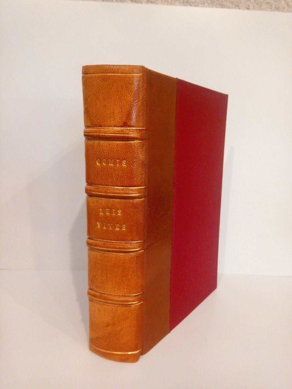 Criterio social de Luis Vives / Prólogo de B. Ibeas | Immagine principale