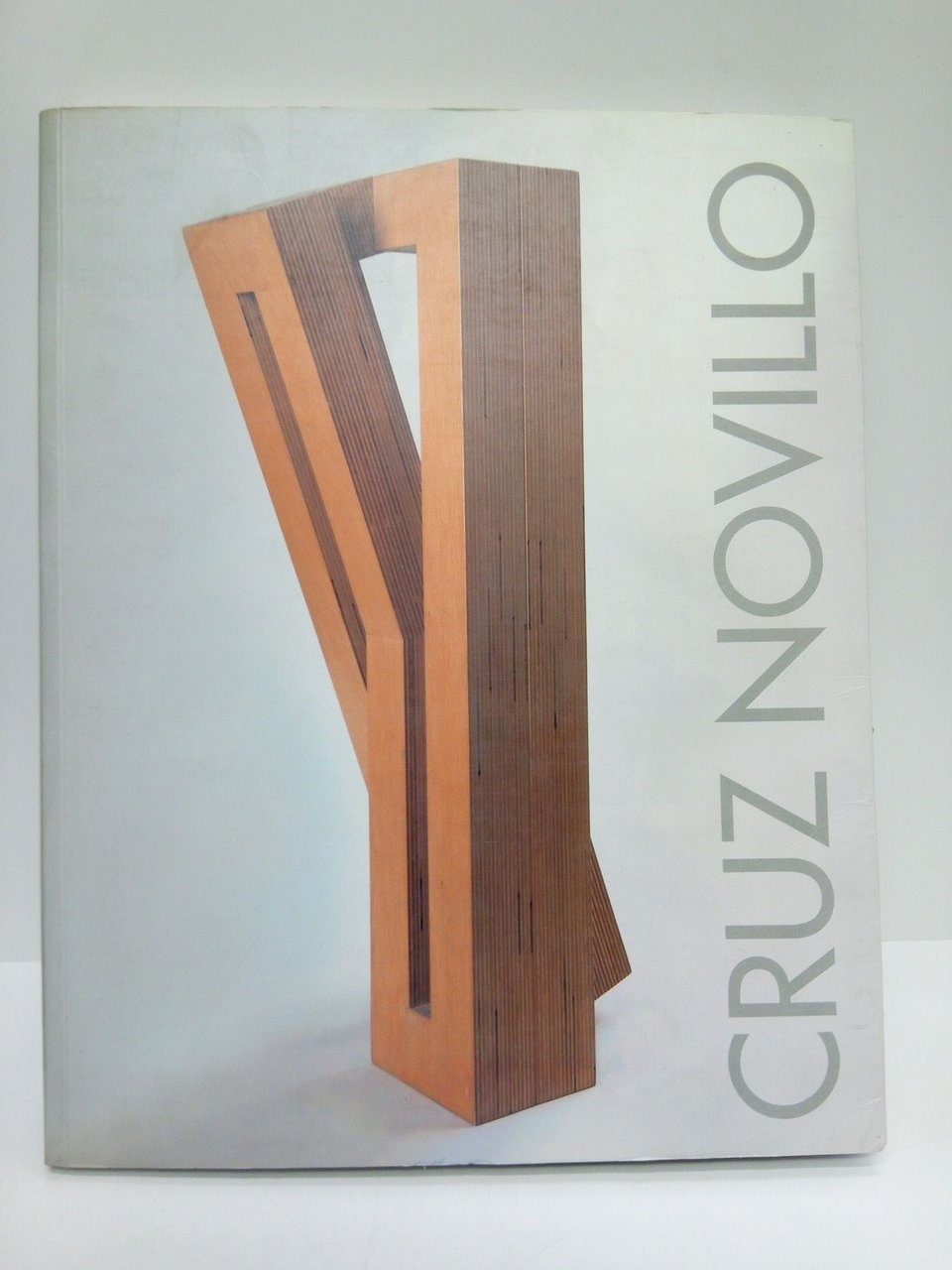 Cruz Novillo. Obras 1980-1999. (Exposición en la Sala Amós Salvador. … | Immagine principale