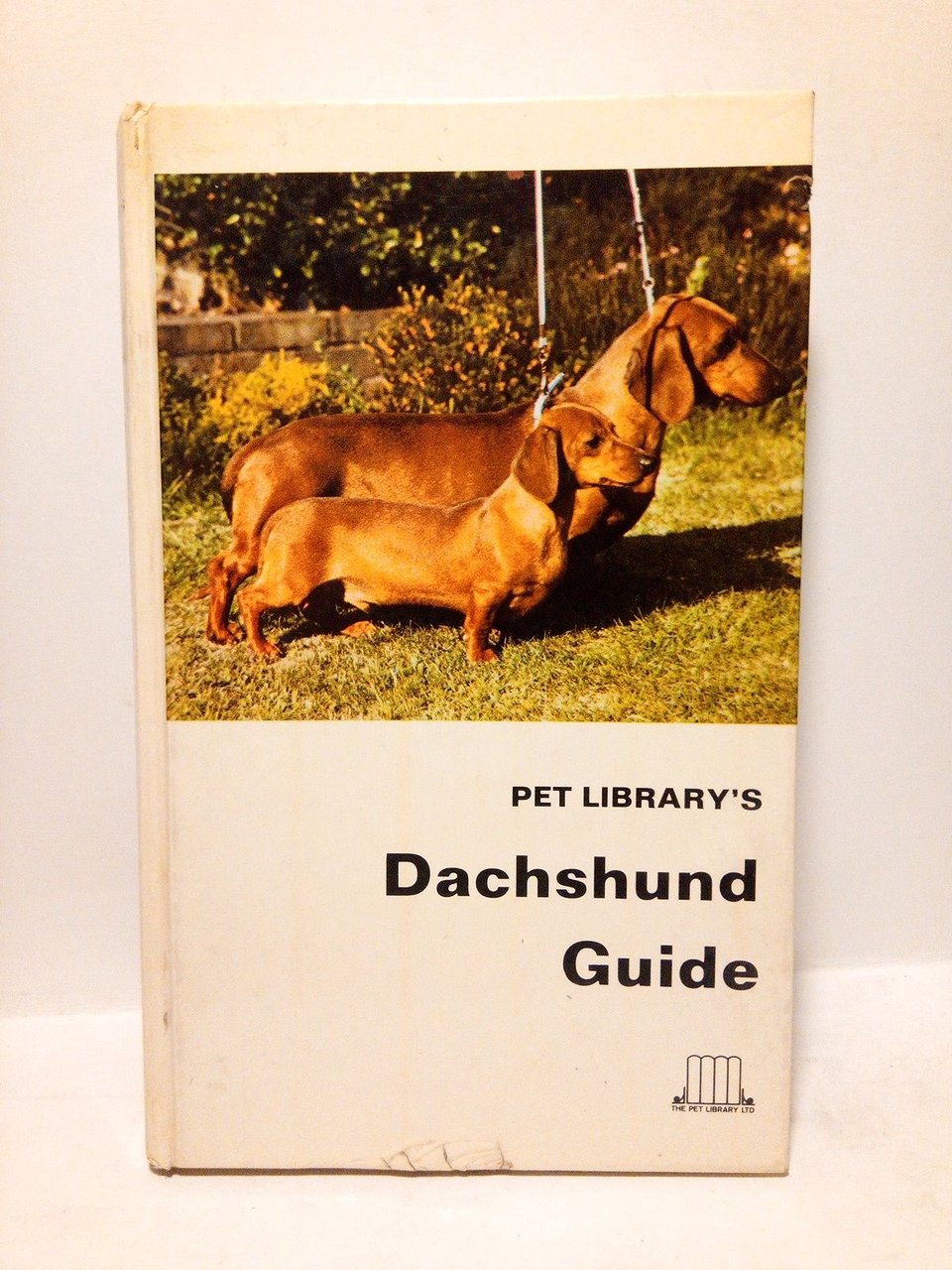 Dachshund Guide | Immagine principale