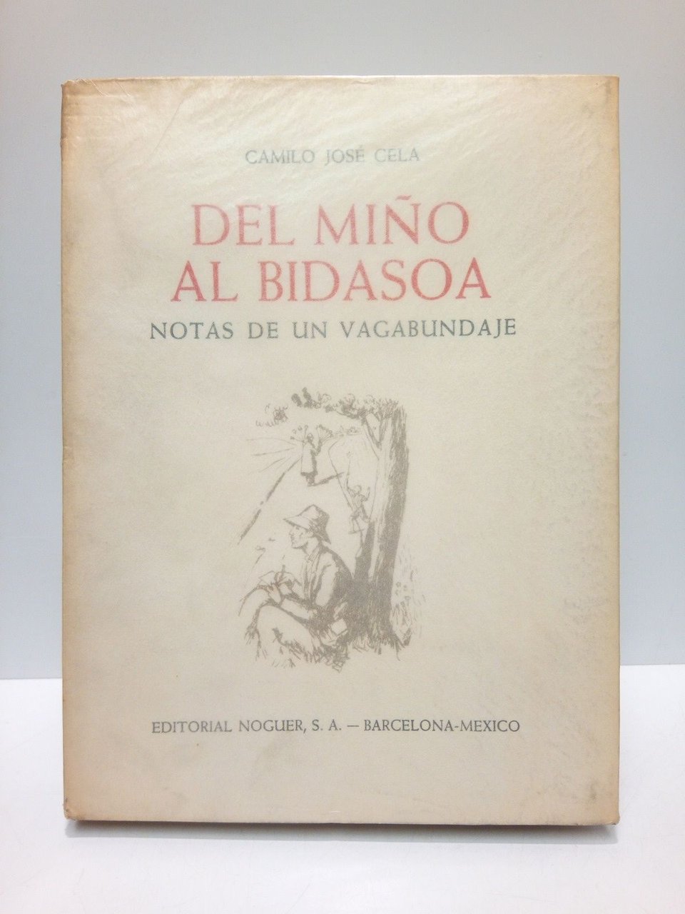 Del Miño al Bidasoa: Notas de un bagabundaje / Dibujos …