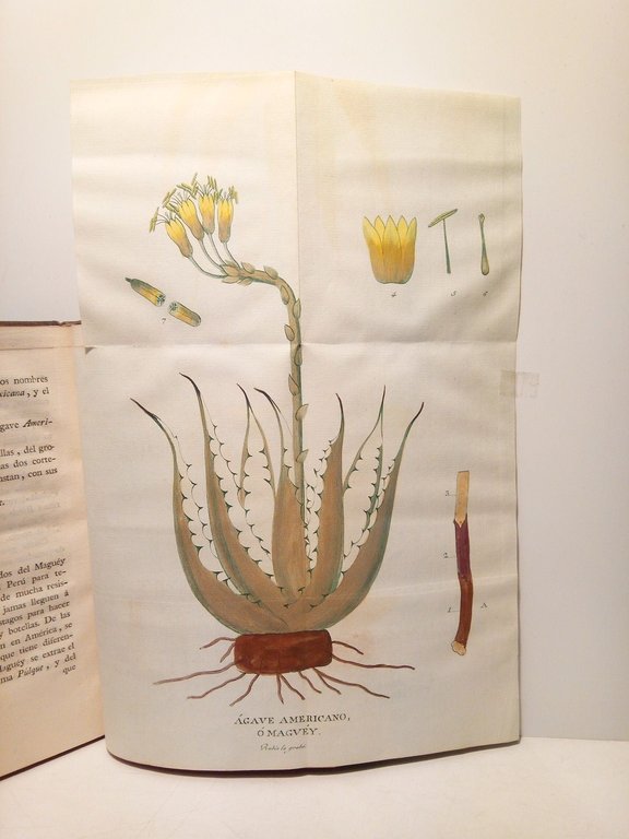 Demostración de las eficaces virtudes nuevamente descubiertas en las raices …