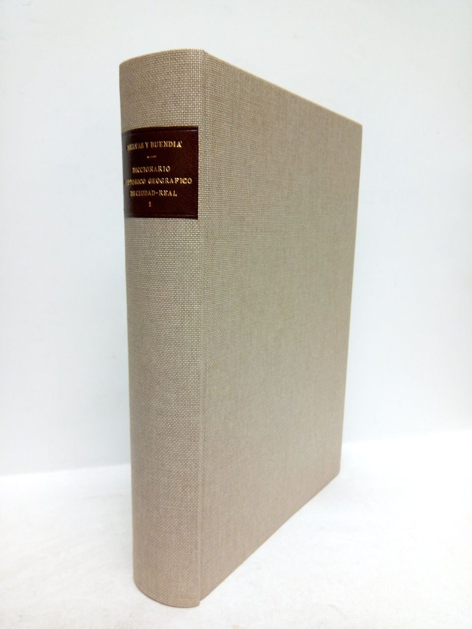 Diccionario histórico geográfico, biográfico y bibliográfico de la Provincia de … | Immagine principale