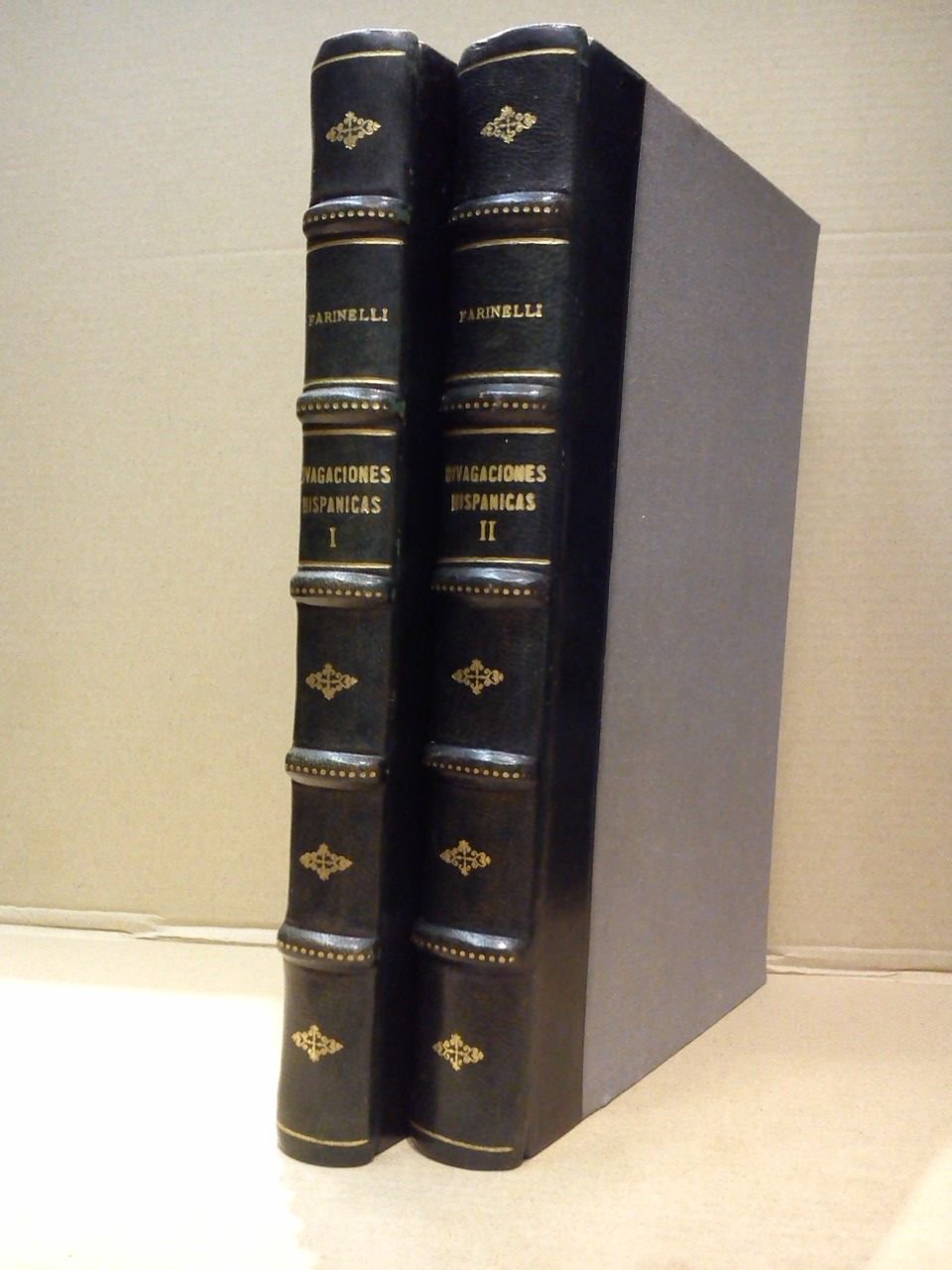 Divagaciones Hispánicas: Discursos y estudios críticos | Immagine principale