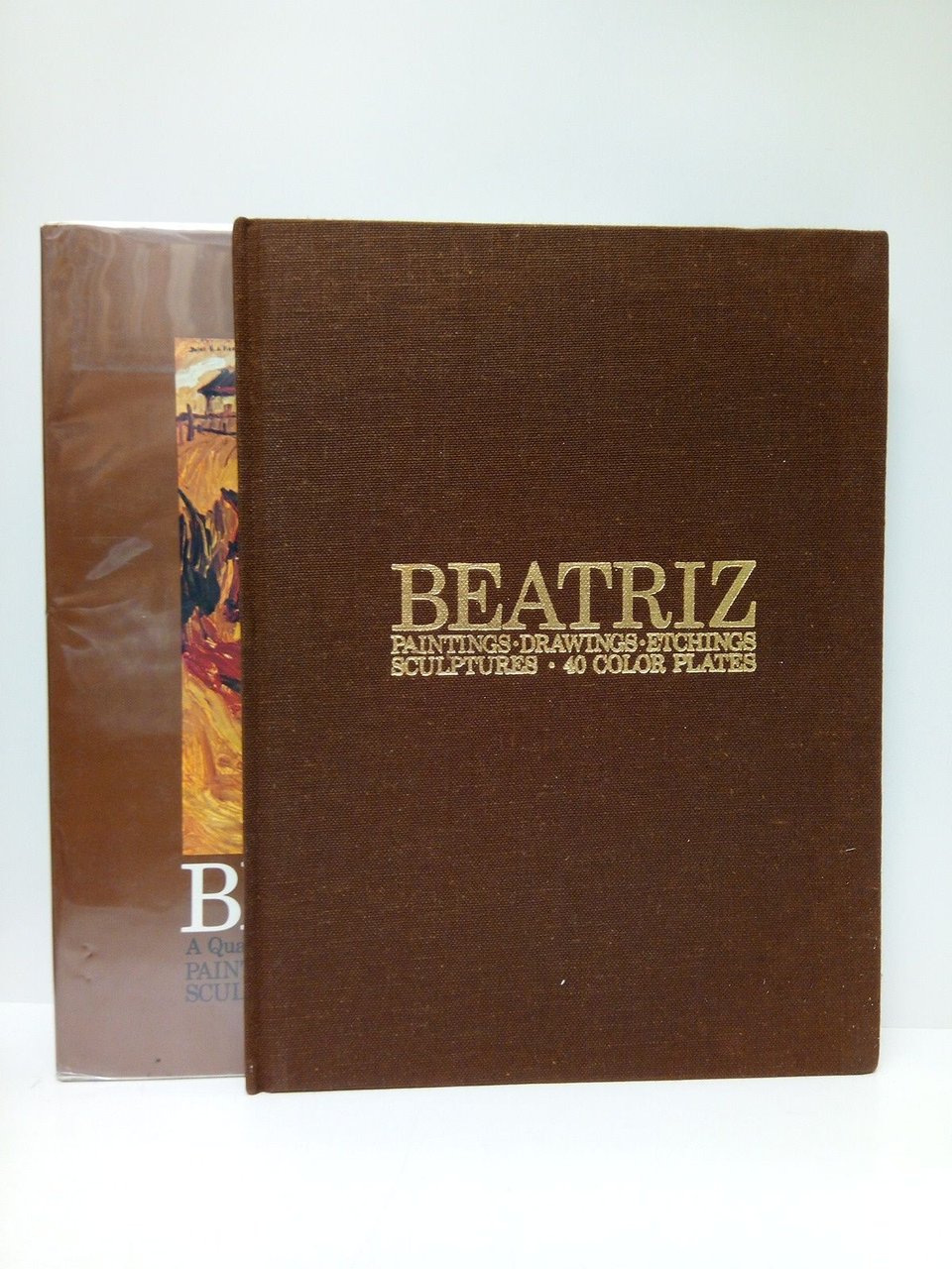 Dulce H. de Beatriz. A Quarter Century of My Life …