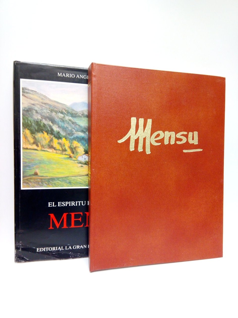 El espíritu pictórico de Mensu / Prólogo de Luis Lázaro …