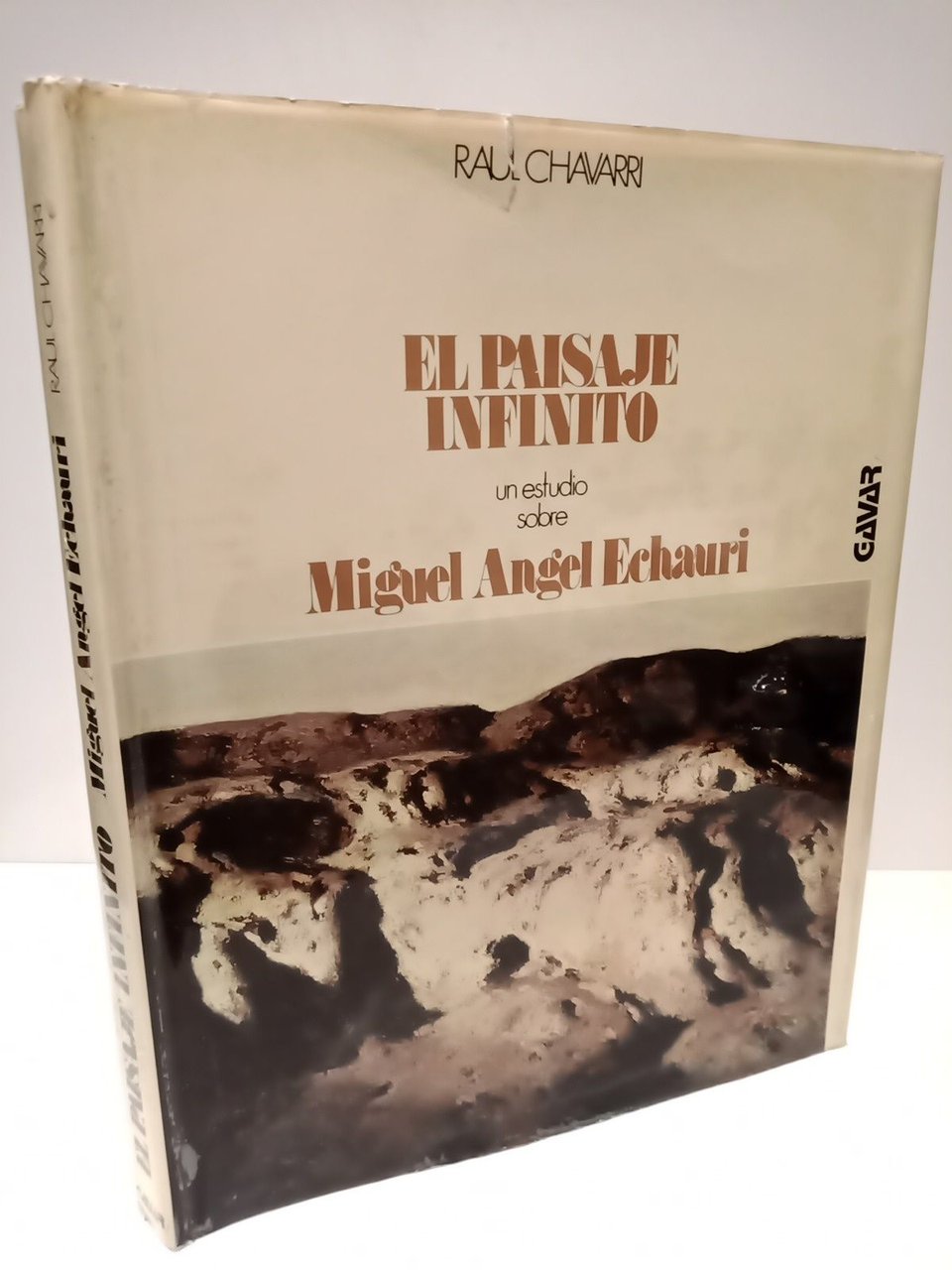 El paisaje infinito: Un estudio sobre Miguel Angel Echauri
