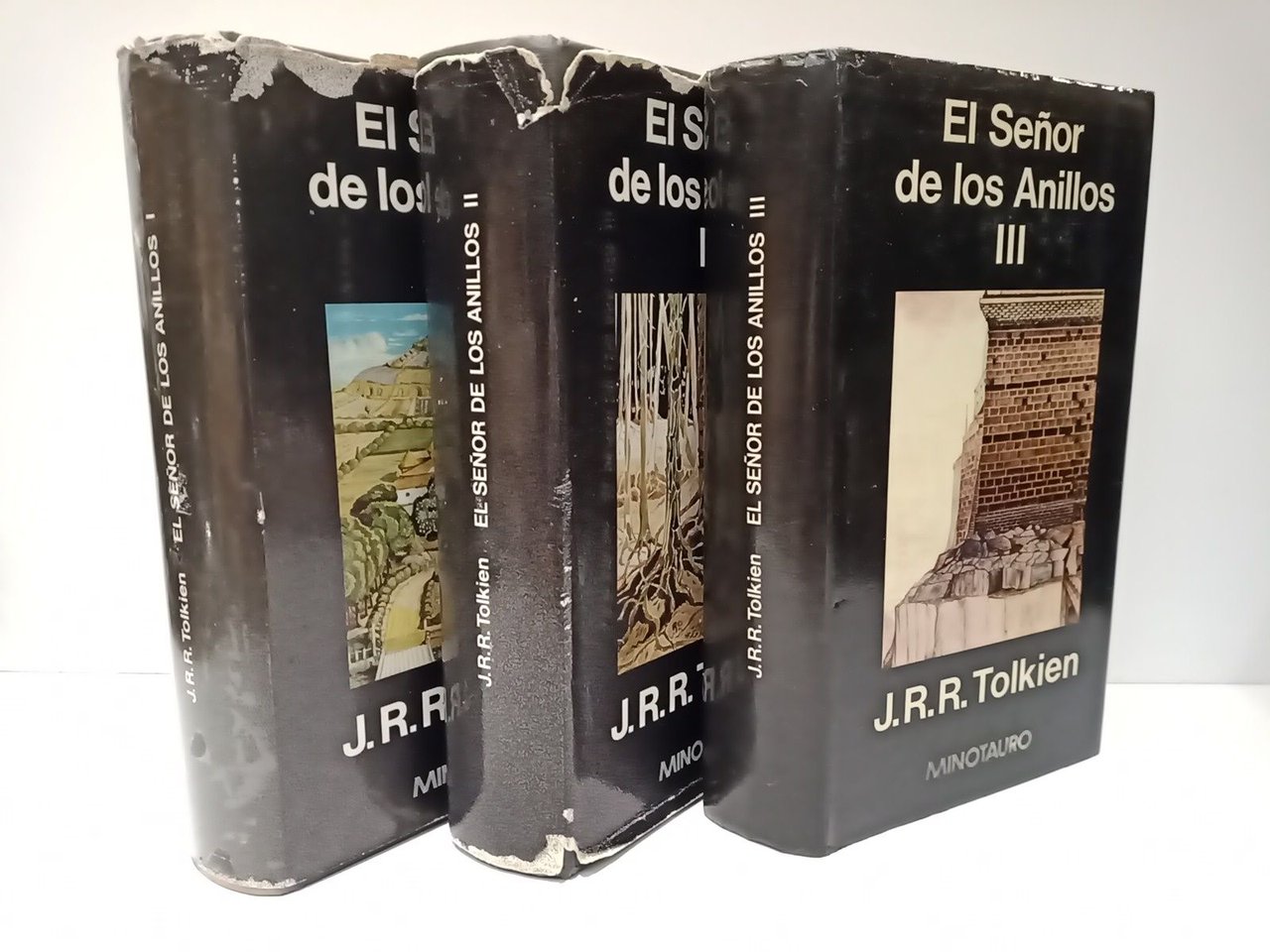 El Señor de los Anillos. 1: La Comunidad del Anillo; …