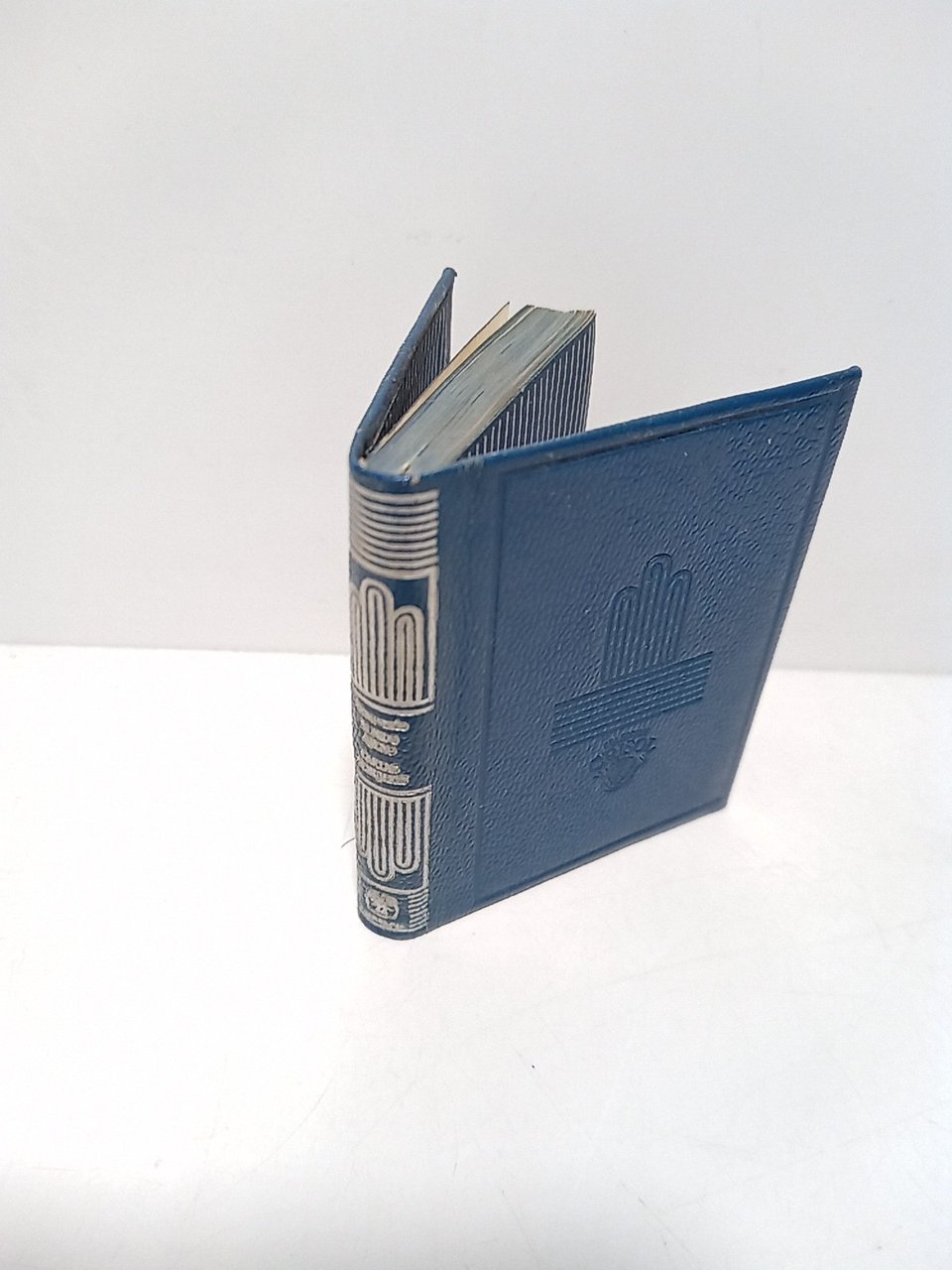 En nido ajeno - Cartas de mujeres