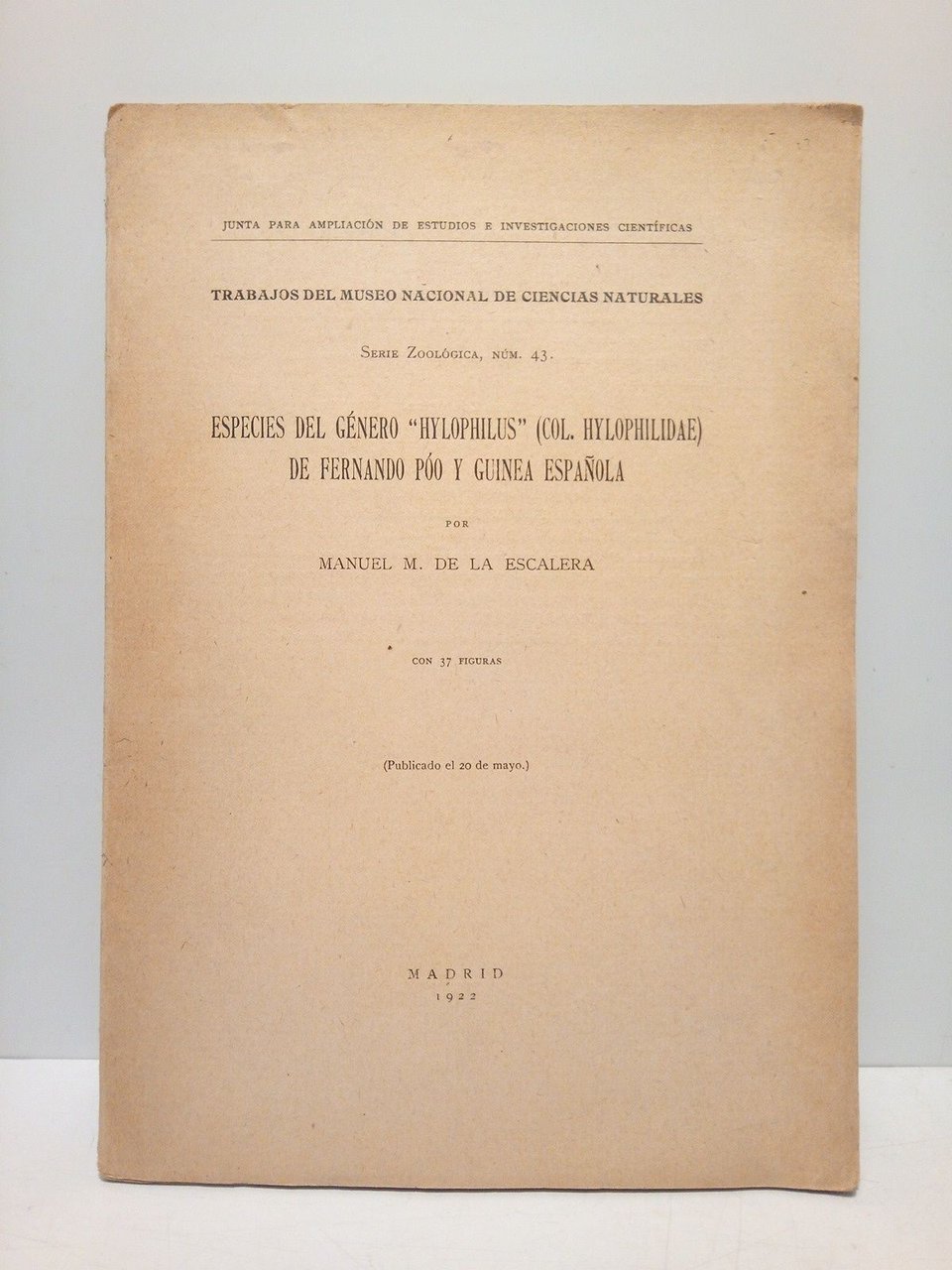 Especies del género "Hylophilus" (Col. Hylophilidae) de Fernando Póo y … | Immagine principale