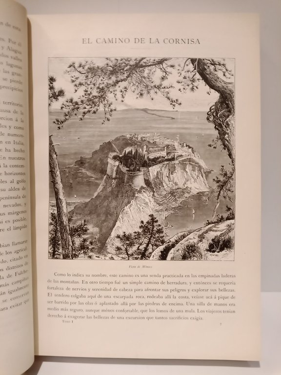 EUROPA PINTORESCA: Descripción general de viajes, ilustrada con numerosos y …