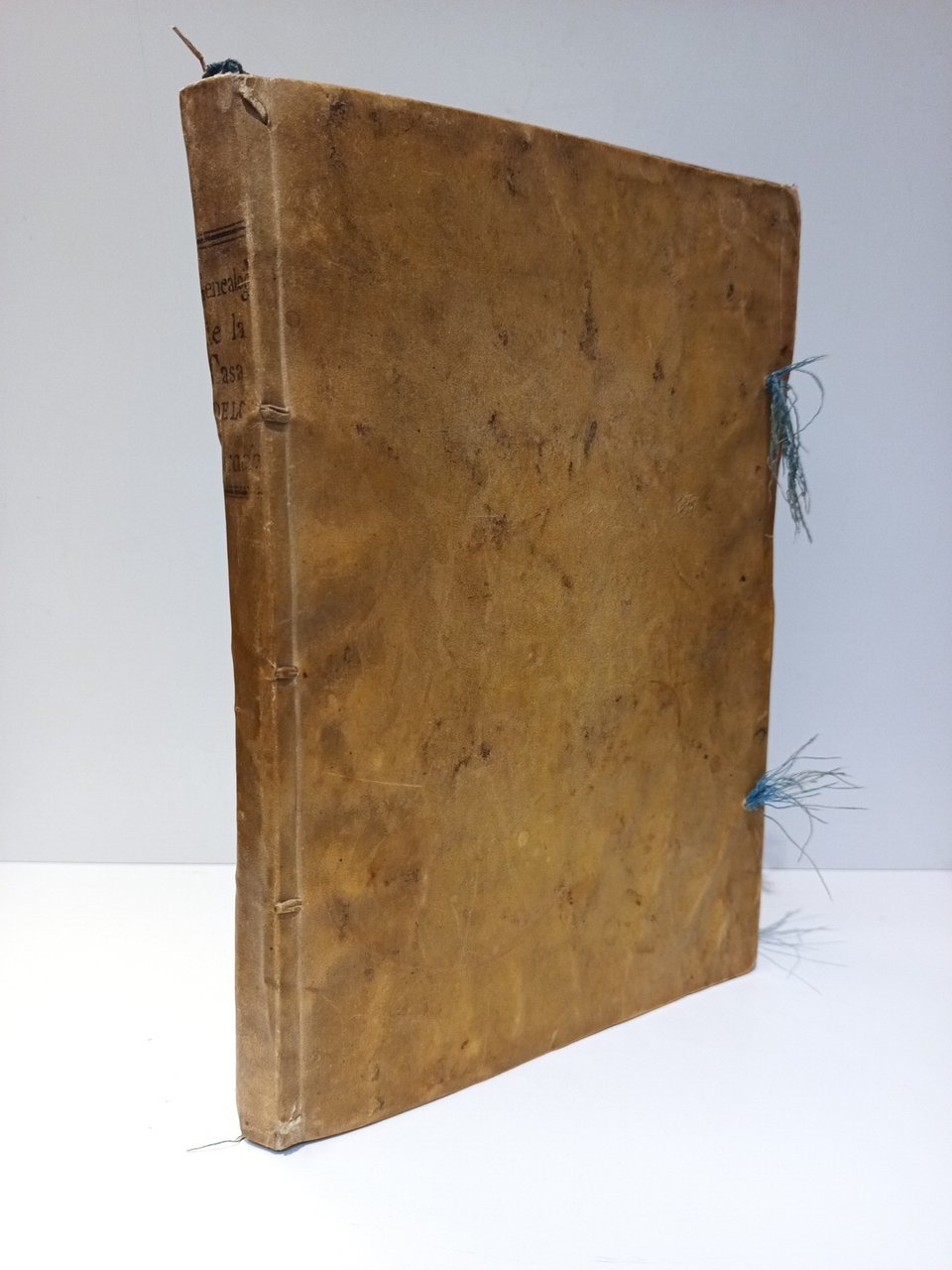 Exposicion Genealogica, y Cronologica de los Caballeros Curados de Lucena, … | Immagine principale