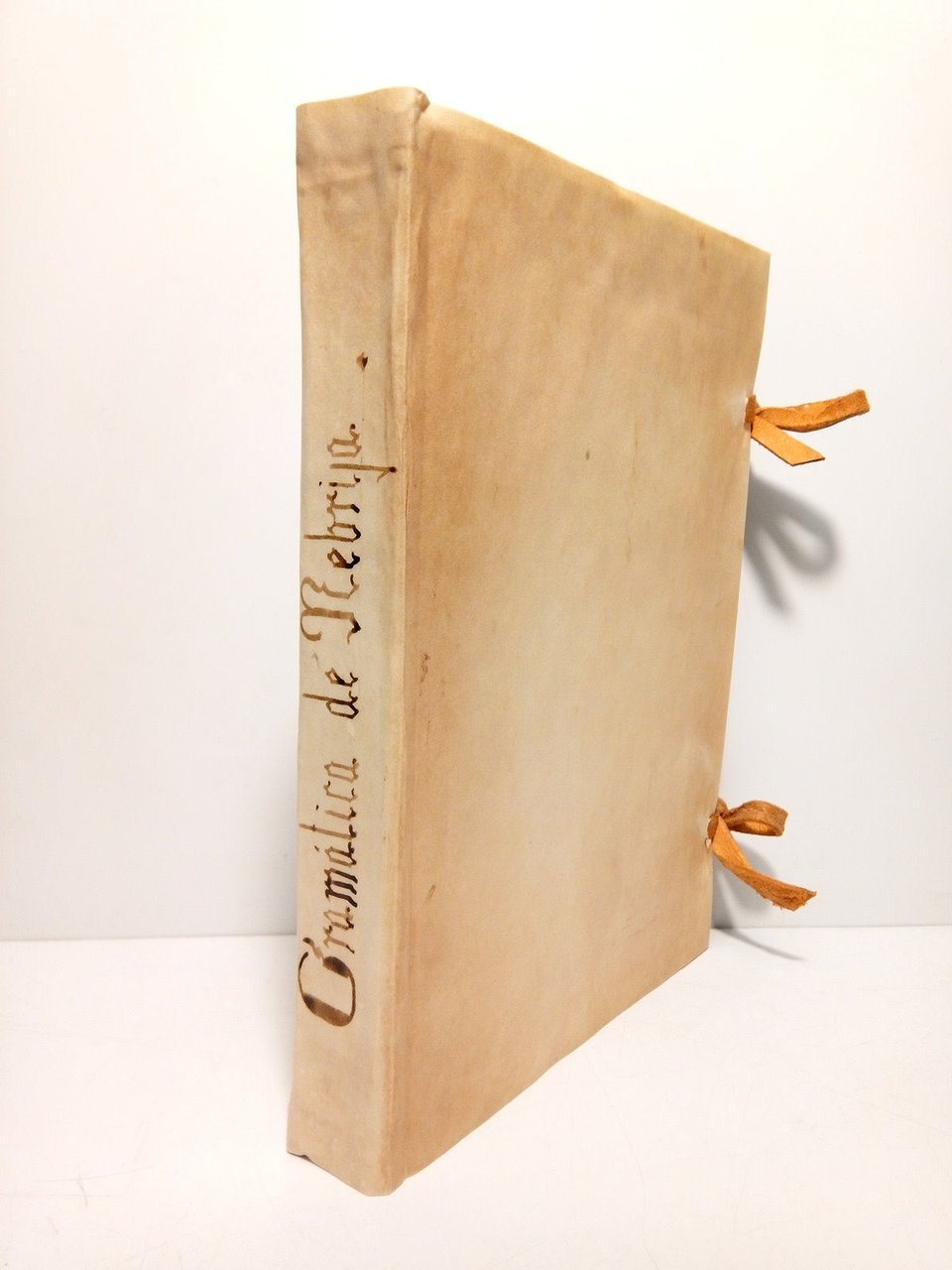 Gramática de la Lengua Castellana / Prólogo de Teresa D'Outreligne; … | Immagine principale