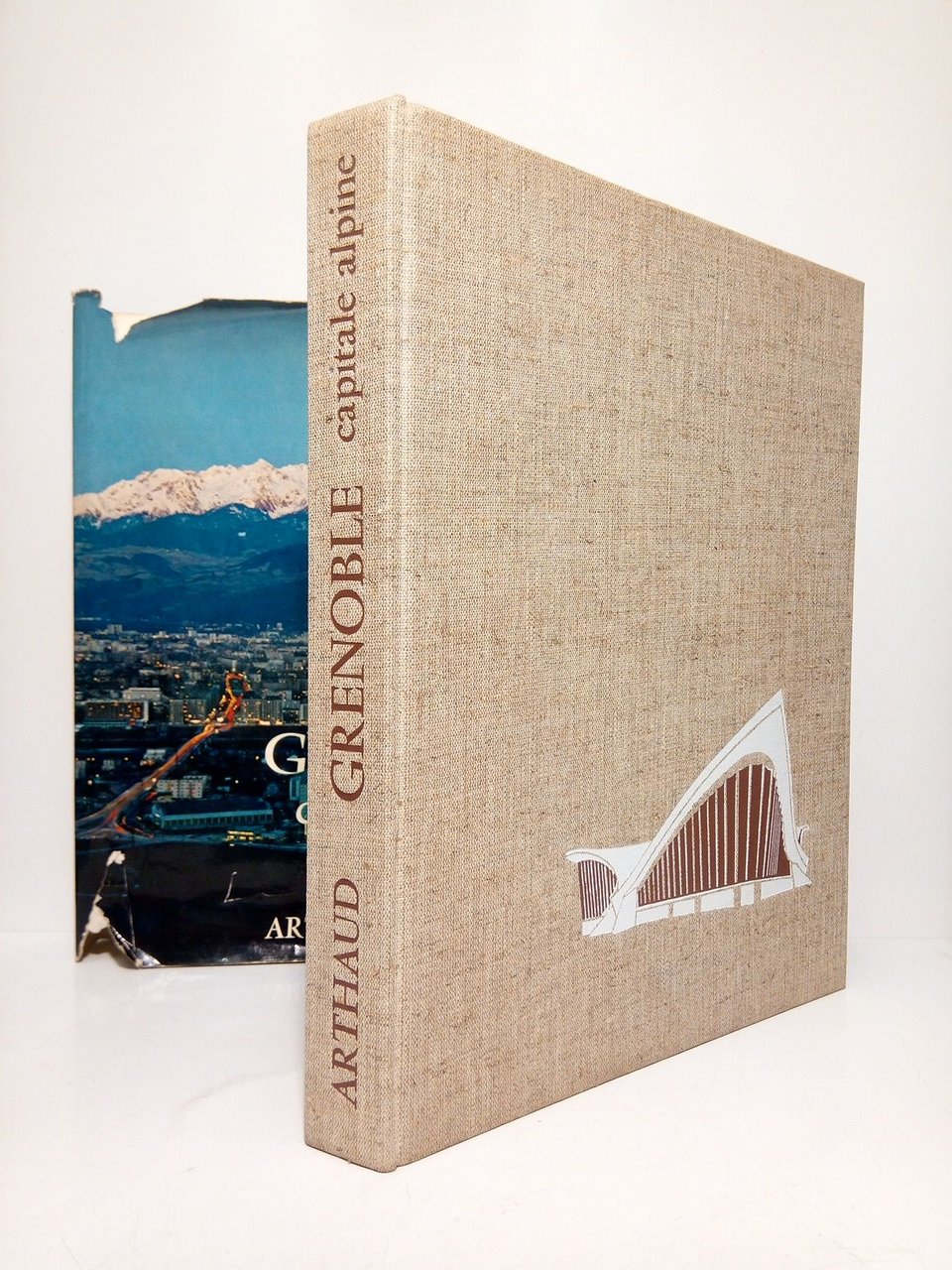 Grenoble capitale alpine | Immagine principale