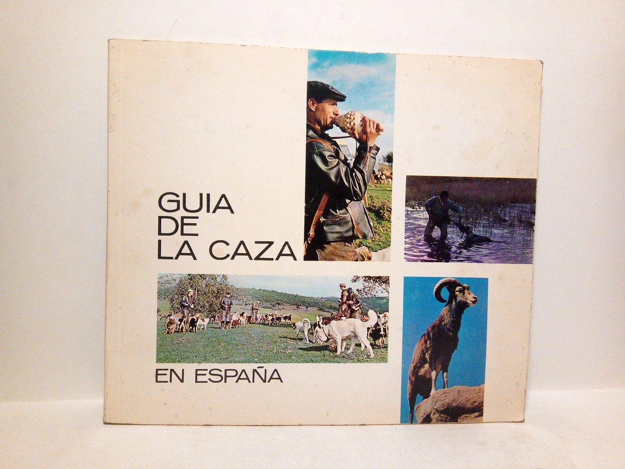 Guía de la caza en España