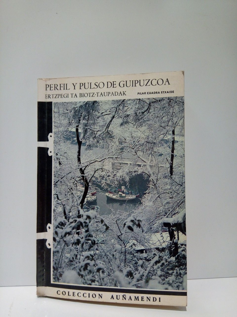 Guipuzkoaren ertzpegi ta biotz-taupadak = Perfil y pulso de Guipúzcoa. …