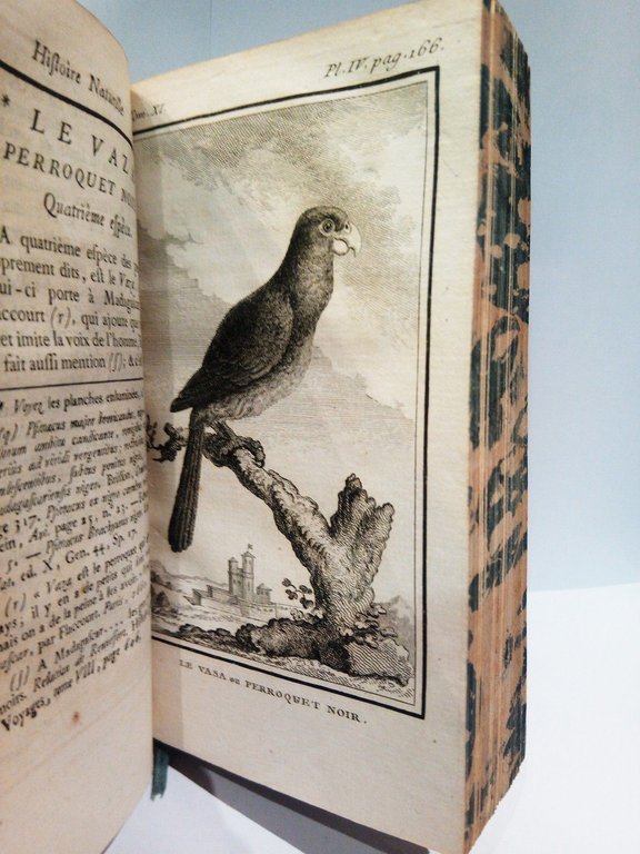 Histoire Naturelle des Oiseaux. (Tome Onzième)