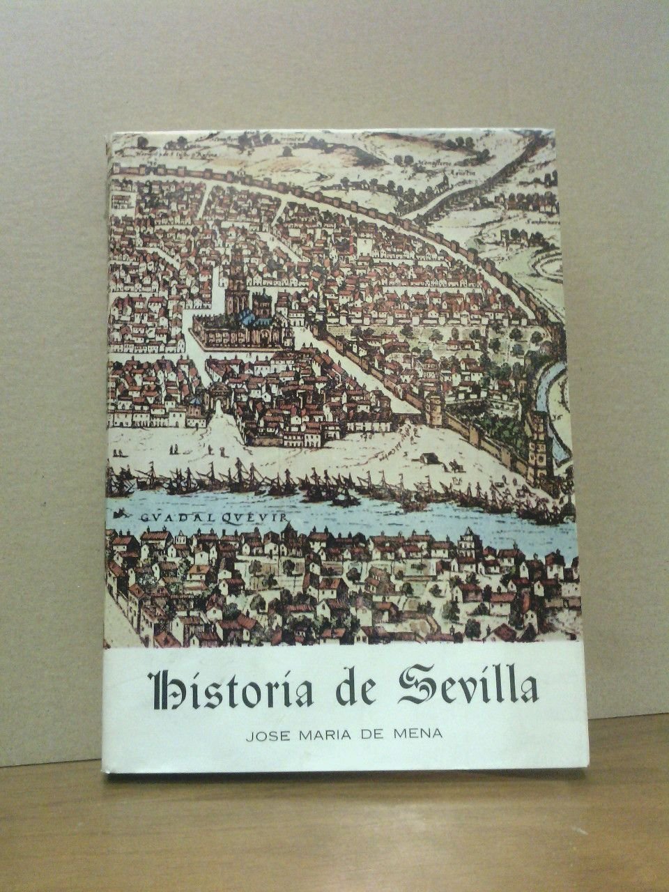 Historia de Sevilla / Preámbulo por José María Borrachero Flores
