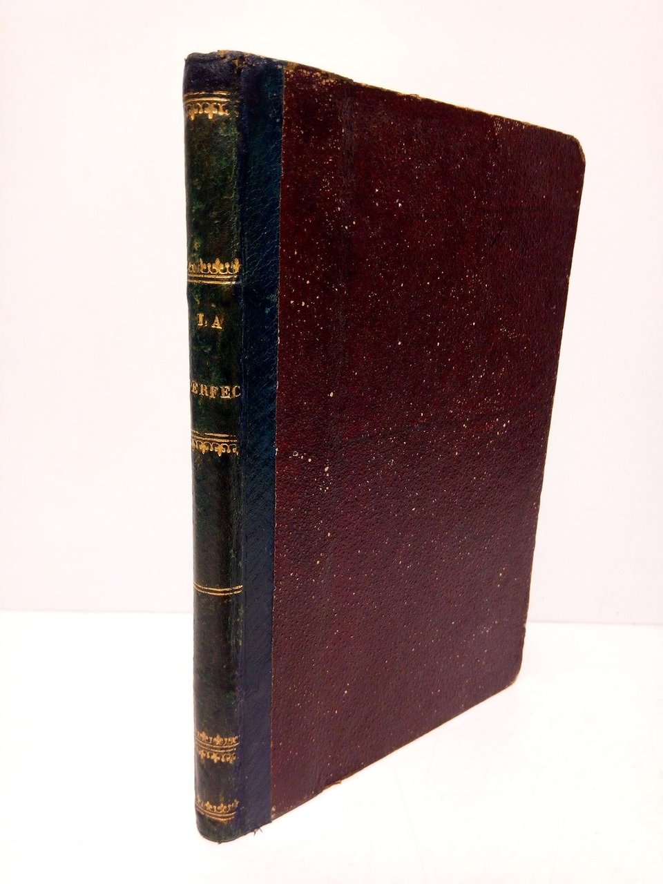 Itinerario de los caminos de la perfección, en que se …