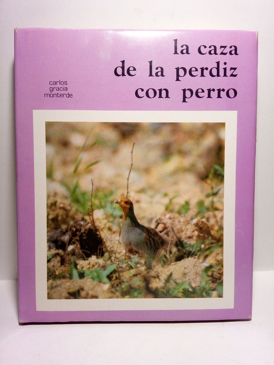 La caza de la perdiz con perro | Immagine principale