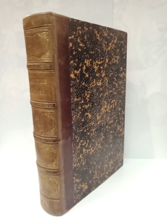 La Jérusalem Délivrée / Traduction nouvelle et en prose, par M. V. Philopon de la Madelaine; augmentée d'une description sur Jérusalem, par M. de Lamartine; édition illustrée par MM. Baron et C. Nanteuil