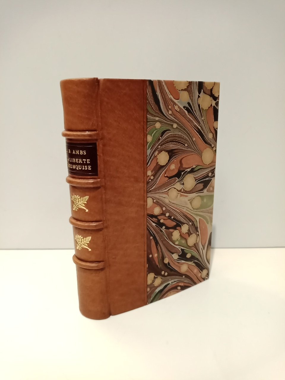 La Liberté Reconquise, ou Histoire Complète et Detaillée de la … | Immagine principale