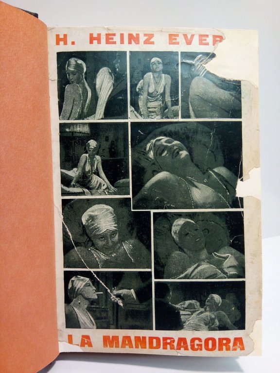 La Mandrágora (Alraune) / Traducción por XX