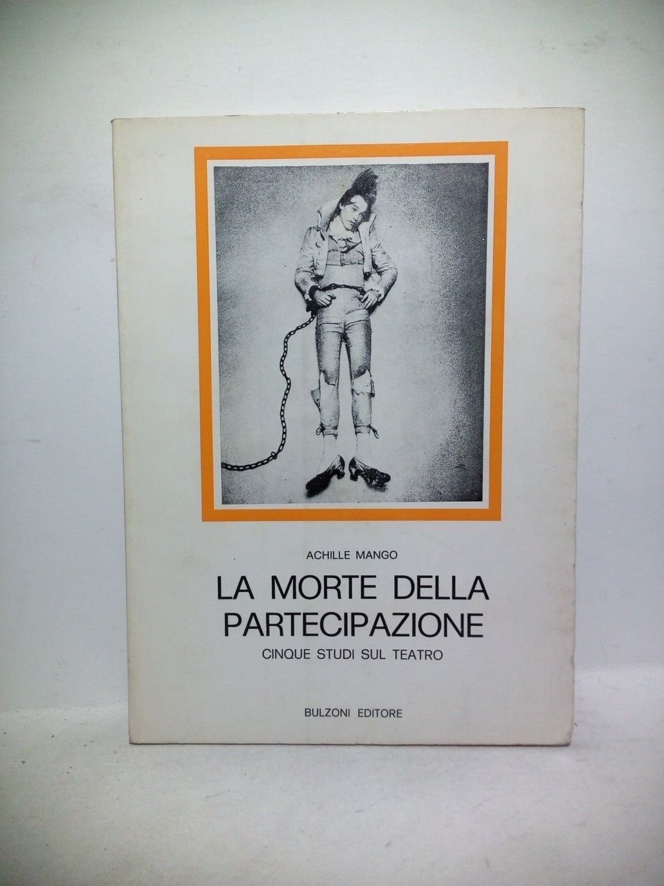 La morte della partecipazione: Cinque studi sul teatro