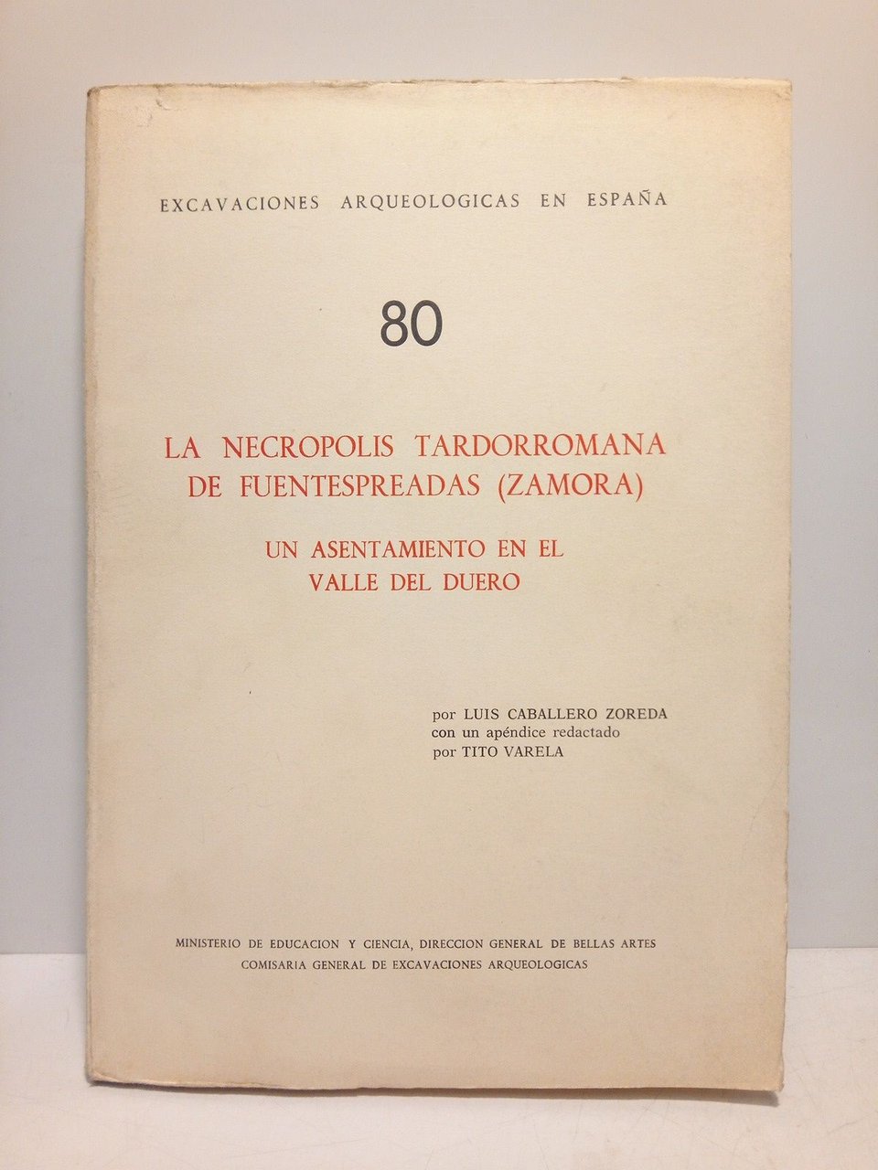 La necrópolis tardorromana de Fuentespreadas (Zamora). Una asentamiento en el …