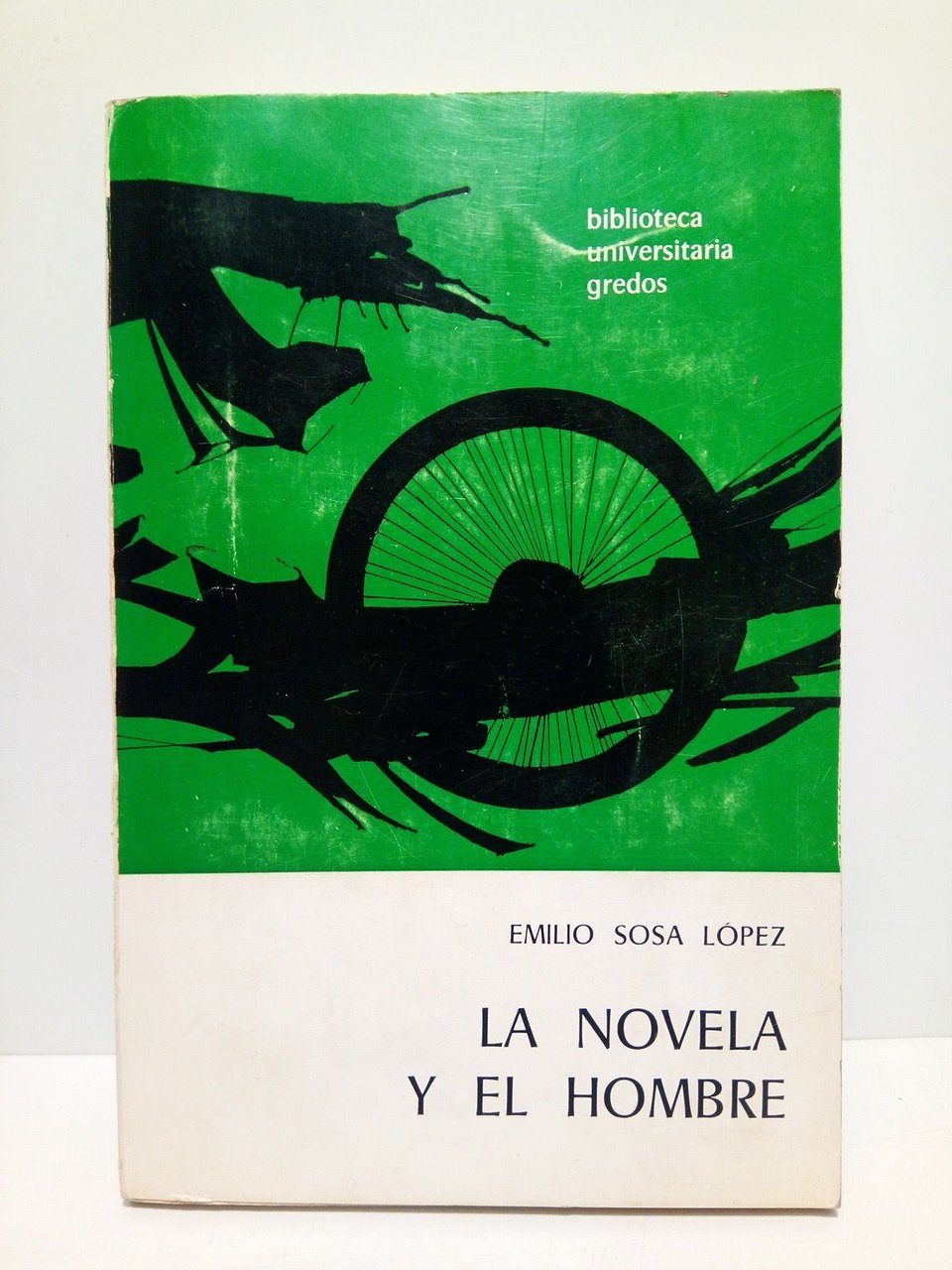 La novela y el hombre