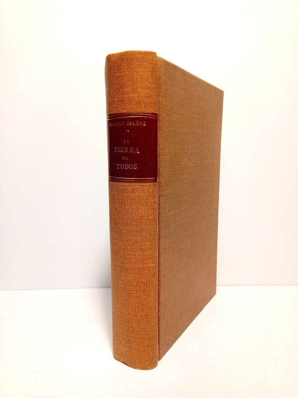 La tierra de todos (novela)