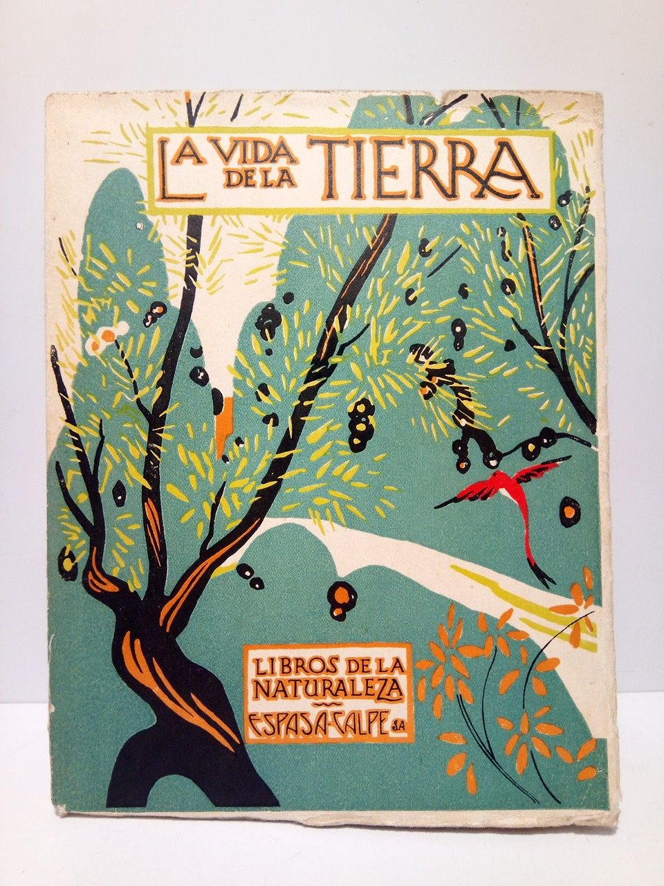 La vida de la tierra | Immagine principale