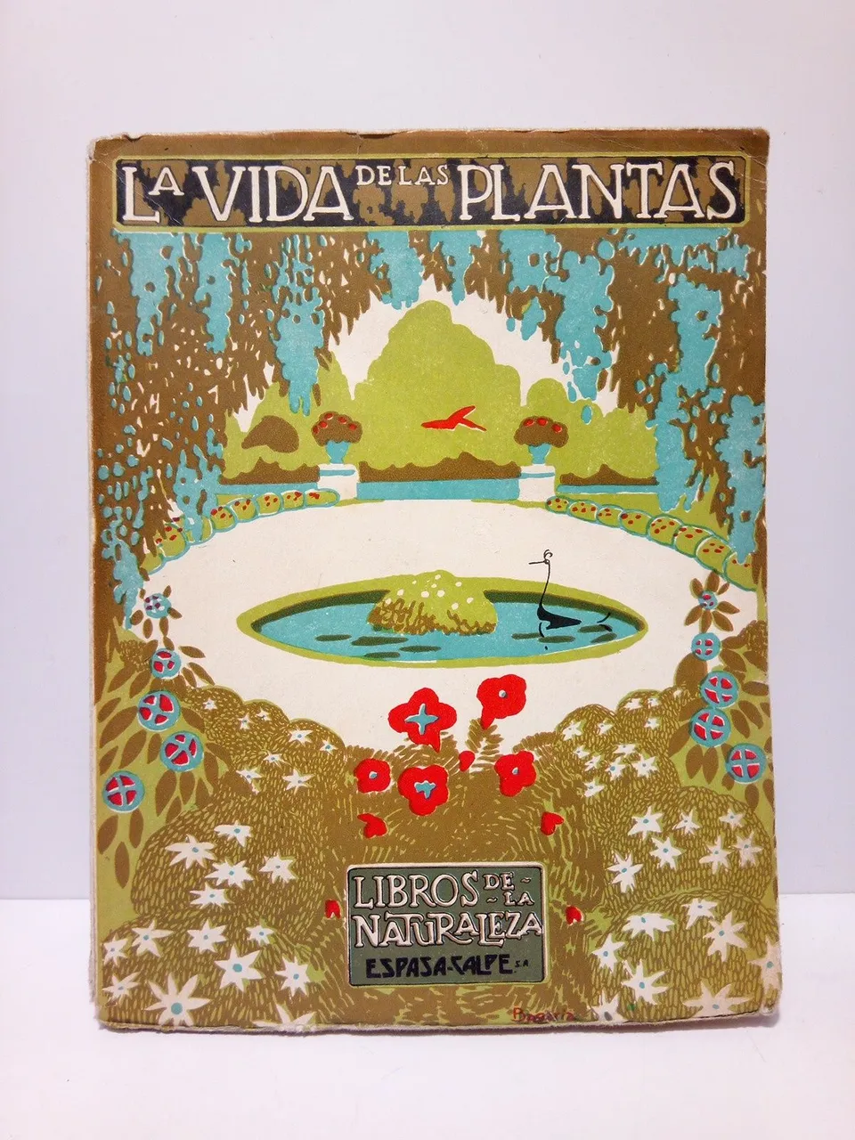 La vida de las plantas | Immagine principale