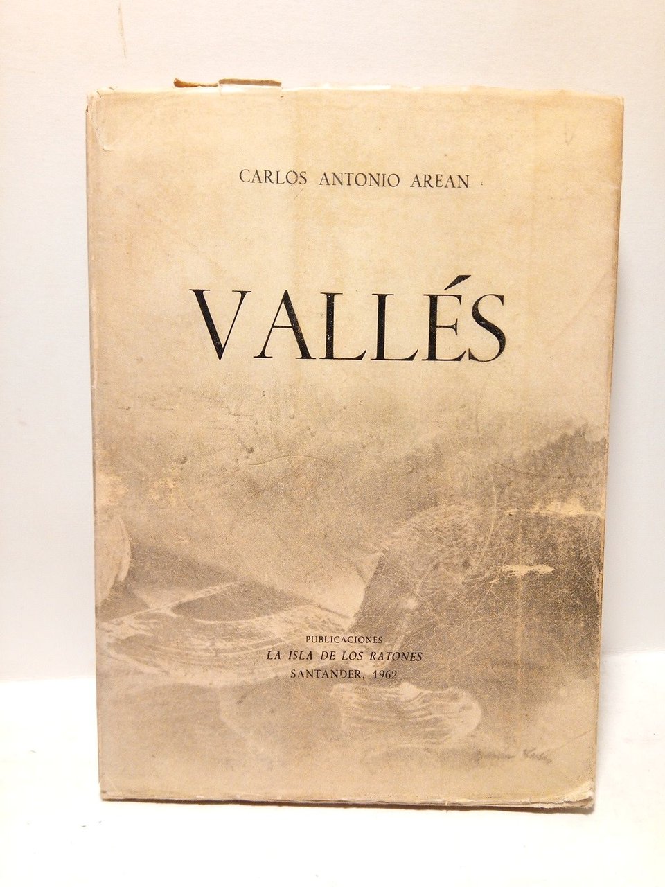 La voluntad de expresión formal de Román Vallés