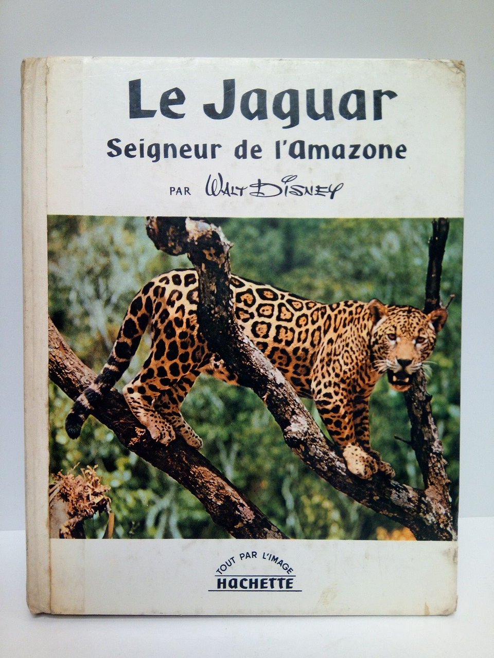 Le jaguar, seigneur de l'Amazone / Les images sont de …