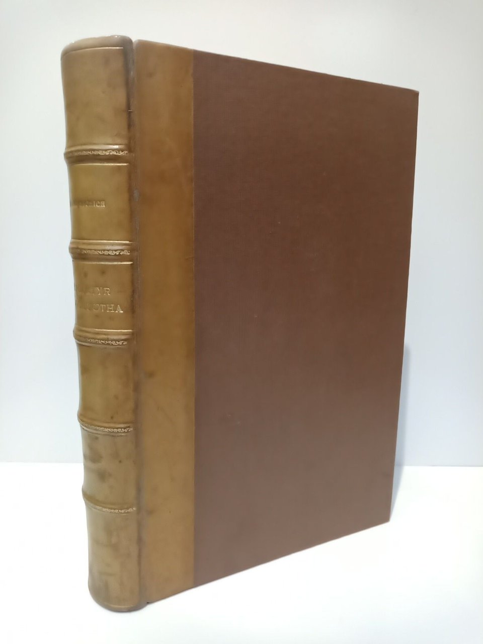 Le Martyr du Golgotha: Traditions orientales sur la vie et …