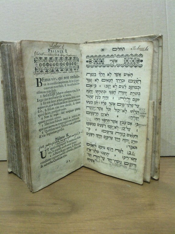 Liber Psalmorum, Hebraicè / Cum Versione Latinâ Santis Pagnini | Immagine Gallery 3