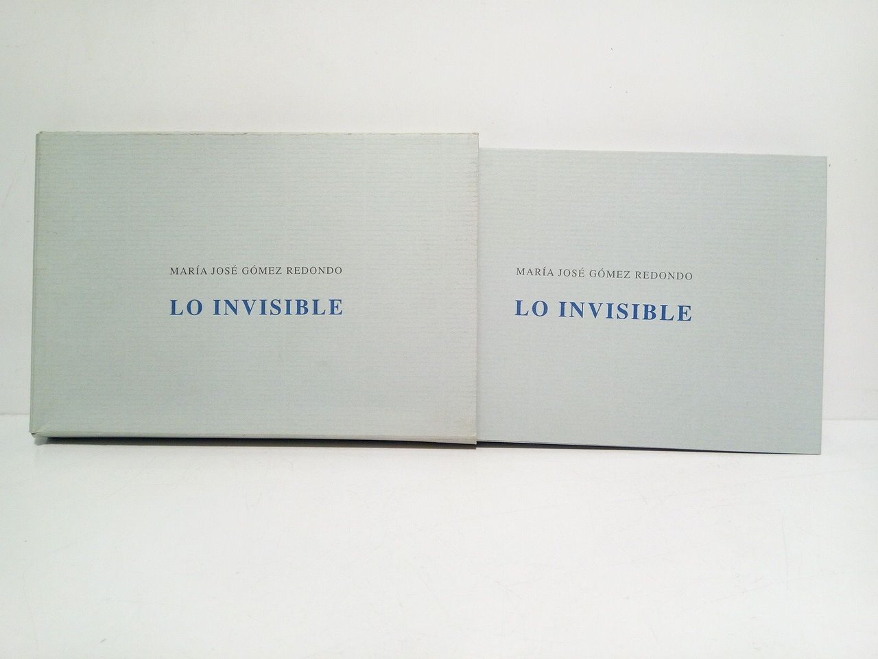 LO INVISIBLE / Imágenes originales de María José Gómez Redondo