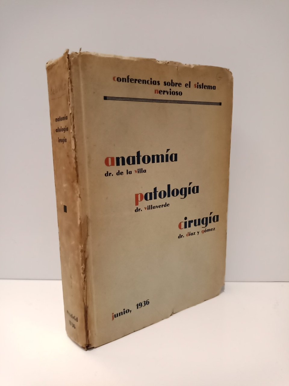 Lo que no debe ignorar el Clínico de la Anatomía … | Immagine principale