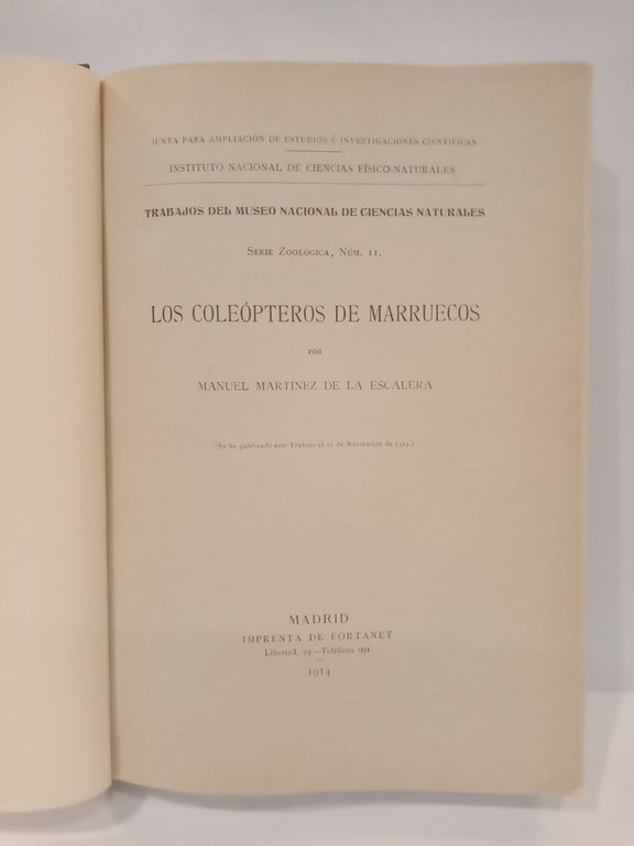 Los coleópteros de Marruecos