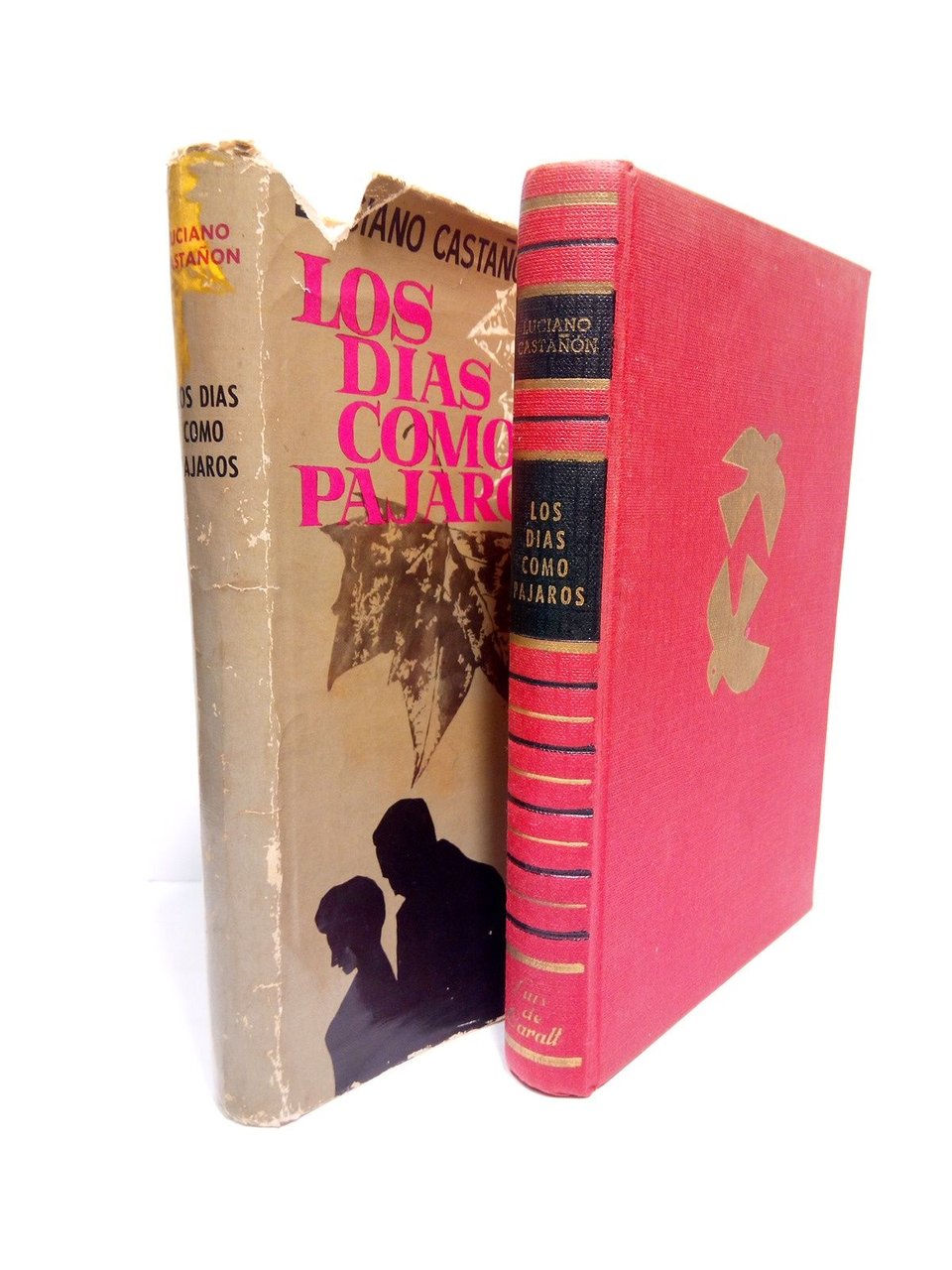 Los días como pájaros