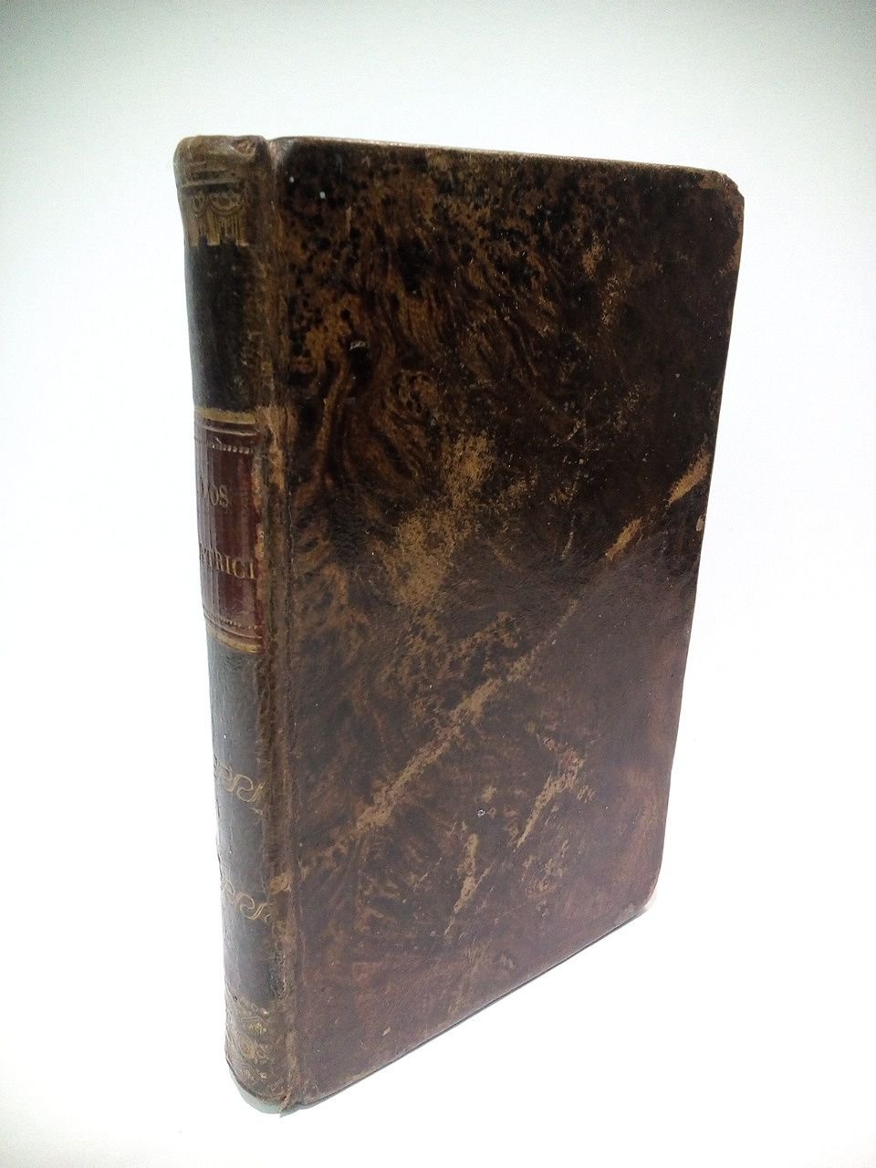 Los Patricios [Novela histórica]: Historia de las sangrientas guerras civiles … | Immagine principale